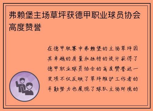弗赖堡主场草坪获德甲职业球员协会高度赞誉 弗赖堡主场草坪获德甲职业球员协会高度赞誉
